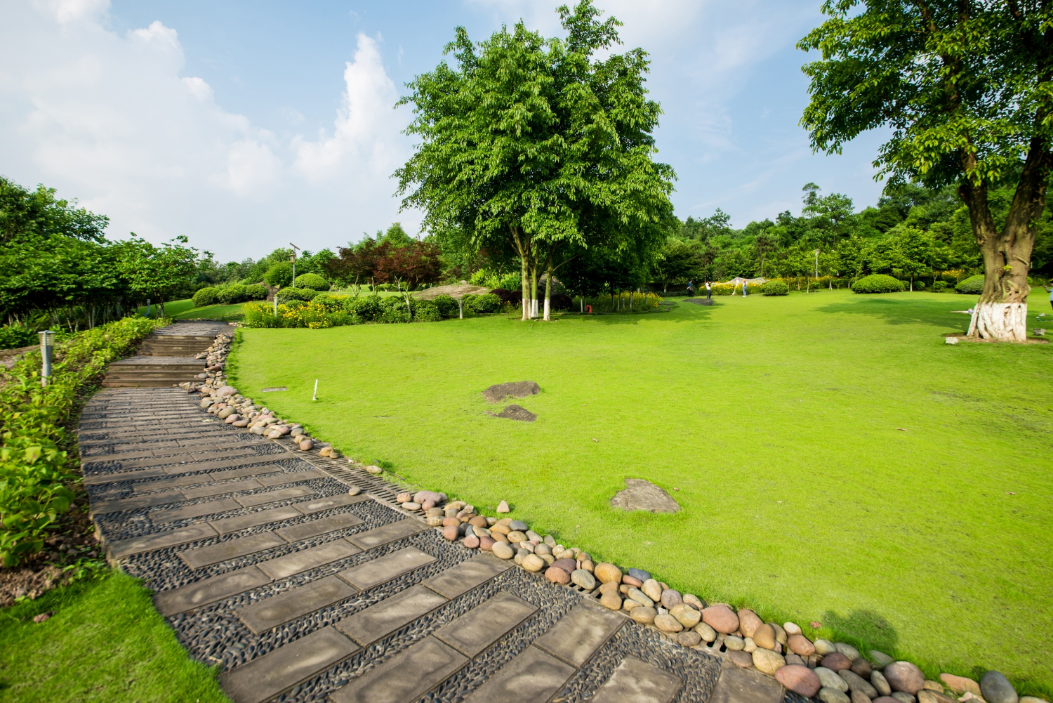 Yard Management Jesup GA